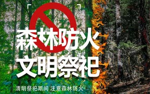 清明節：文明祭奠、預防火災